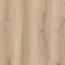 Forest Oak NUTMEG