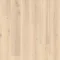 Forest Oak - Pistaccio Shell