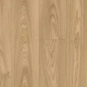 Wykładzina elastyczna PCV Tarkett Iconik 240 ICONIK 240 - Citizen Oak NATURAL