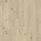 ICONIK 240 - Nordic Oak WEATHERED - nowość