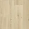 ICONIK 240 - Powell Oak BLONDE