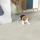 Wykładzina elastyczna PCW Tarkett ICONIK 300 | Warszawa