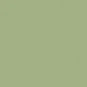 Wykładzina ścienna linoleum Tarkett LinoWall xf² (2mm) LinoWall OLIVE 155