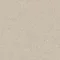 Natural LIGHT WARM BEIGE 0481