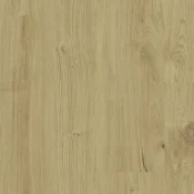 Płytki i panele LVT Tarkett iD Naturals Glue-Down 70 Nomad Oak OAT