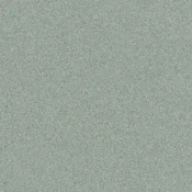 Wykładzina elastyczna PCW Tarkett Primo Plus Primo LIGHT GREEN 0311