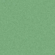 Wykładzina elastyczna PCW Tarkett Primo SD PRIMO SD - Primo GREEN 0646