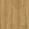 Swiss Oak - Stained