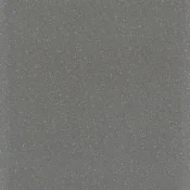 Wykładzina elastyczna PCW Tarkett Terra T 9