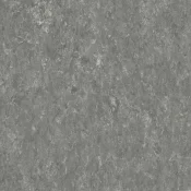 Wykładzina linoleum Tarkett Veneto Sicuro xf²™ R10 Veneto PEBBLE 604
