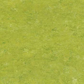 Wykładzina linoleum Gerflor Colorette Acousticplus 19 dB 0132