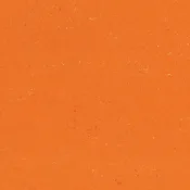 Wykładzina linoleum Gerflor Colorette Acousticplus 19 dB 0170