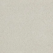 Wykładzina dywanowa w rolce SmartStrand Incasa incasa-color-240-cream