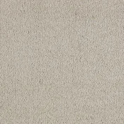 Wykładzina dywanowa w rolce SmartStrand Incasa incasa-color-250-magnolia