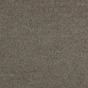 Wykładzina dywanowa w rolce SmartStrand Incasa incasa-color-270-almond
