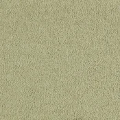 Wykładzina dywanowa w rolce SmartStrand Incasa incasa-color-540-curry
