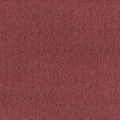 Wykładzina dywanowa w rolce SmartStrand Sofia sofia-living-colours-3-color-140-old-rose