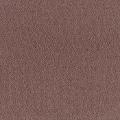 Wykładzina dywanowa w rolce SmartStrand Sofia sofia-living-colours-3-color-180-rum