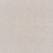 Wykładzina dywanowa w rolce SmartStrand Sofia sofia-living-colours-3-color-240-cream