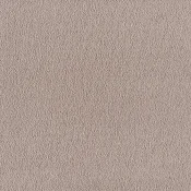 Wykładzina dywanowa w rolce SmartStrand Sofia sofia-living-colours-3-color-250-magnolia