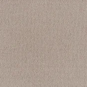 Wykładzina dywanowa w rolce SmartStrand Sofia sofia-living-colours-3-color-260-camel