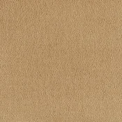 Wykładzina dywanowa w rolce SmartStrand Sofia sofia-living-colours-3-color-370-gold-leaf