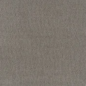 Wykładzina dywanowa w rolce SmartStrand Sofia sofia-living-colours-3-color-410-leather