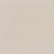 Wykładzina dywanowa w rolce SmartStrand Sofia sofia-living-colours-3-color-440-ivory