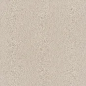 Wykładzina dywanowa w rolce SmartStrand Sofia sofia-living-colours-3-color-450-sand