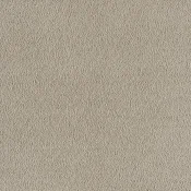 Wykładzina dywanowa w rolce SmartStrand Sofia sofia-living-colours-3-color-460-hemp