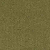 Wykładzina dywanowa w rolce SmartStrand Sofia sofia-living-colours-3-color-500-olive