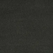 Wykładzina dywanowa w rolce SmartStrand Sofia sofia-living-colours-3-color-810-charcoal