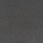 Wykładzina dywanowa w rolce SmartStrand Sofia sofia-living-colours-3-color-820-slate