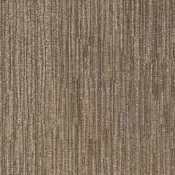 124 Brown Wren