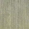 CMO111_250