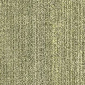 CMP111