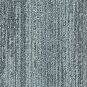 CMP157
