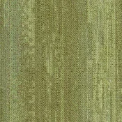 CMP166