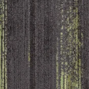 CMP166_27