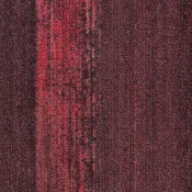 CMP169_179