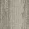 CMP171