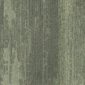 CMP240