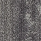 CMP25