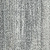 CMP250