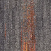 CMP33_165