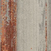 CMP33_171