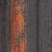 CMP33_27