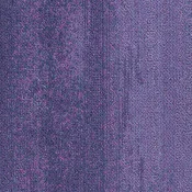 CMP38