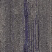 CMP38_165