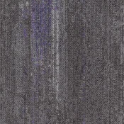 CMP38_174